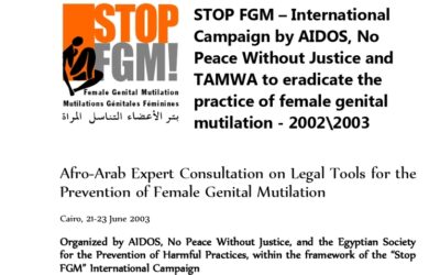 Afro-Arab Expert Consultation on Legal Tools for the Prevention of Female Genital Mutilation. Cairo, 21-23 June 2003