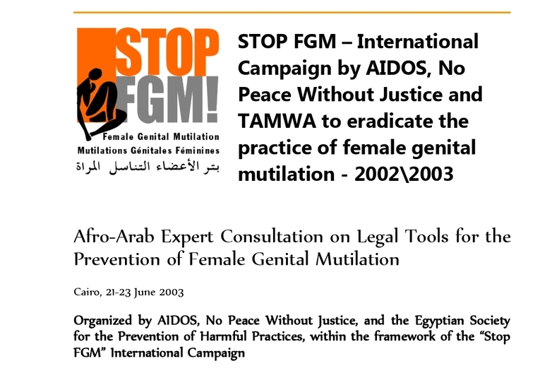 Afro-Arab Expert Consultation on Legal Tools for the Prevention of Female Genital Mutilation. Cairo, 21-23 June 2003