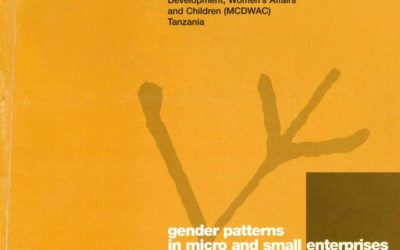 Gender patterns in micro and small enterprises of Tanzania