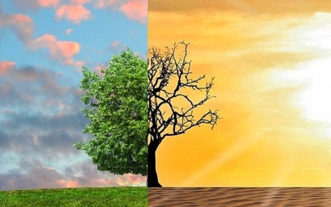 Nuovo rapporto Gcap 2020: affrontare il cambiamento climatico