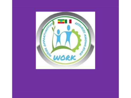 ETIOPIA – WORK: nuove opportunità occupazionali in ambito urbano e rurale in Etiopia