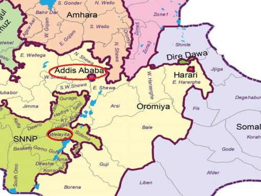 ETIOPIA – WORK: nuove opportunità occupazionali in ambito urbano e rurale in Etiopia