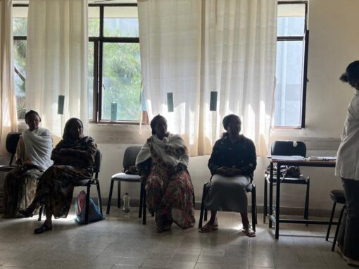 ETHIOPIA – WORK2gether. Working Together for Sustainable Employment and Agricultural Development in Ethiopia